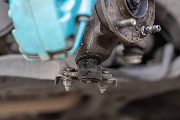 ٹیلرڈ ، عام نہیں: معطلی کی قسم کس طرح بشنگ کی کارکردگی کے ہر پہلو کی وضاحت کرتی ہے